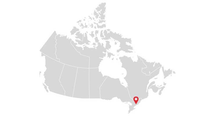 toronto-school
