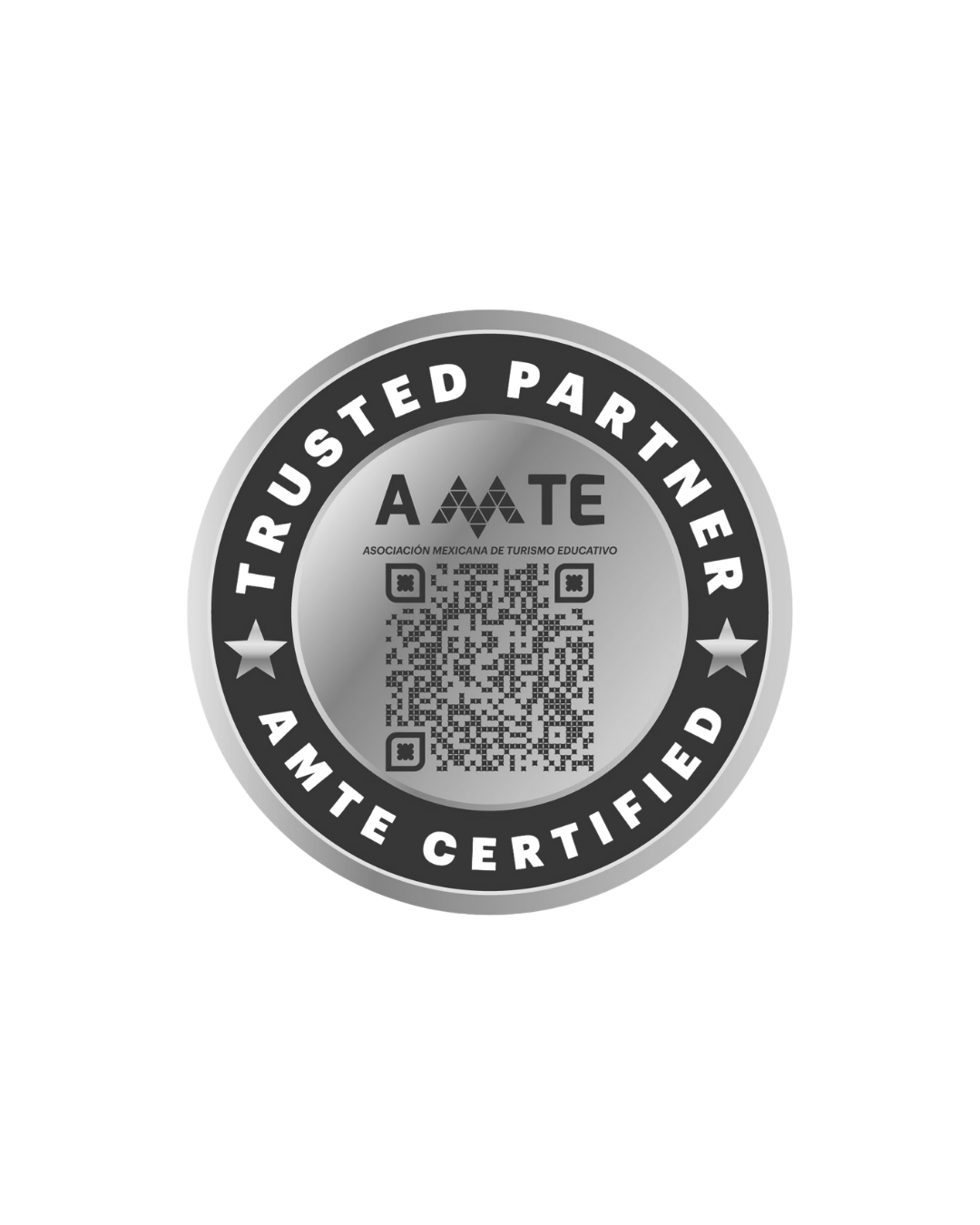 AMTE BADGE YCL